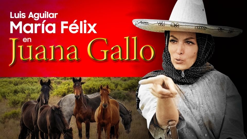 Juana Gallo | Canela TV
