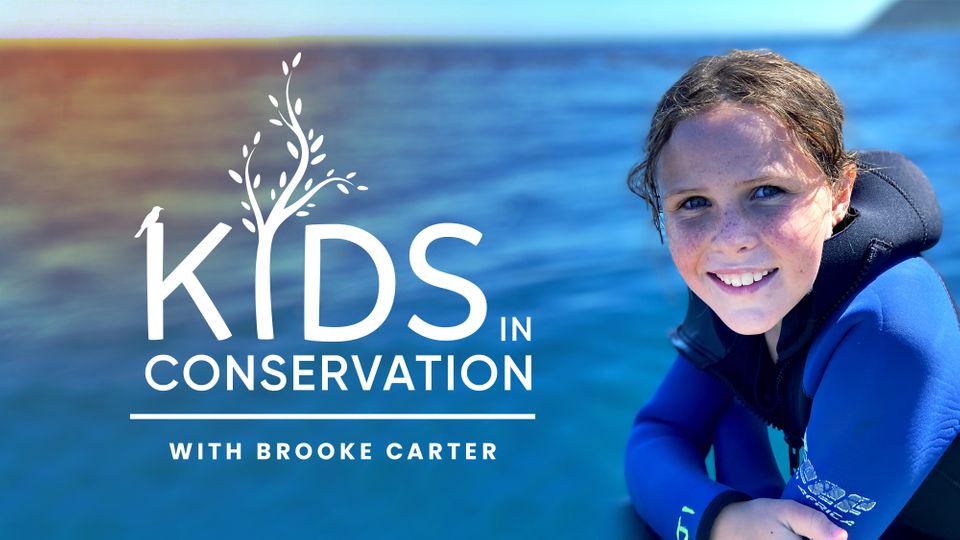 Kids in Conservation
