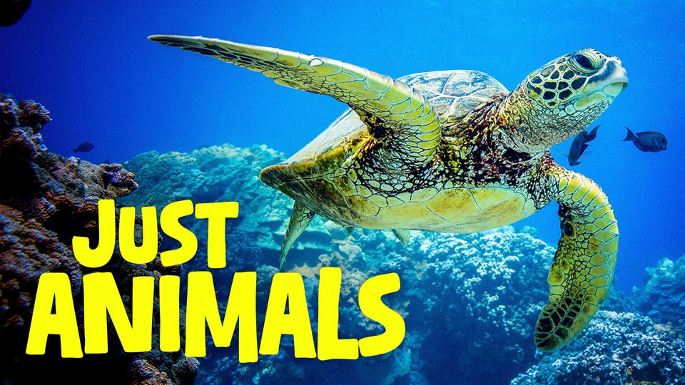 Just Animals