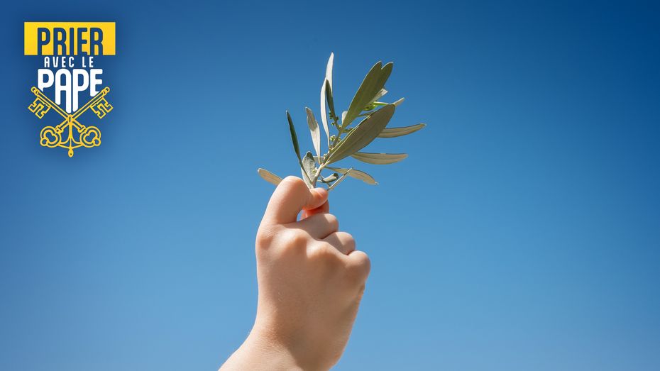 Mars 2026 | Pour le désarmement et la paix.